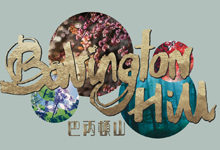 巴丙頓山 Babington Hill - 西半山巴丙頓道23號 半山區西部